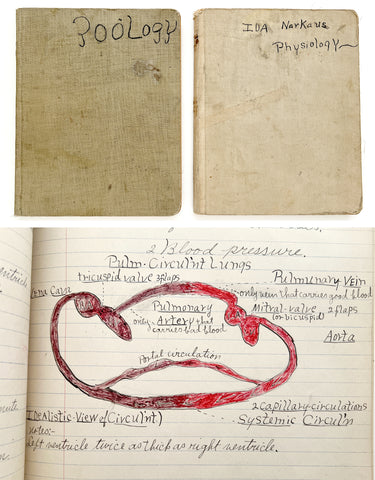 Two illustrated student manuscript notebooks for courses in Physiology and Zoology by a young woman in Oregon, 1910