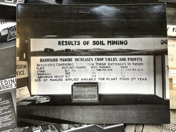 10 photos of agricultural fair displays [Pennsylvania, ca. 1927]