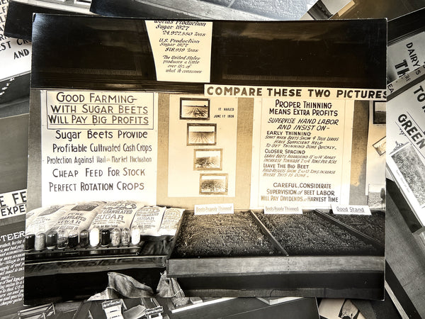 10 photos of agricultural fair displays [Pennsylvania, ca. 1927]