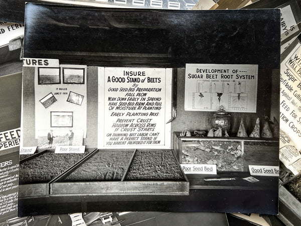 10 photos of agricultural fair displays [Pennsylvania, ca. 1927]