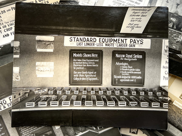 10 photos of agricultural fair displays [Pennsylvania, ca. 1927]