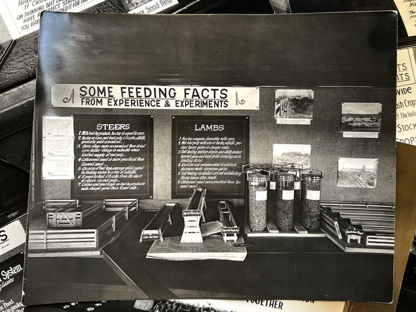 10 photos of agricultural fair displays [Pennsylvania, ca. 1927]