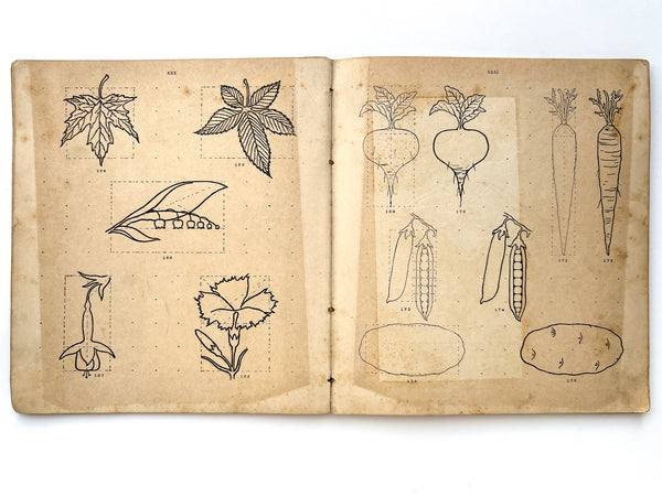Illustrative Hand-Book of Drawing, containing over three hundred illustrations including dictation exercises, outlines of familiar objects—vegetables, fruits, flowers, and human and animal forms