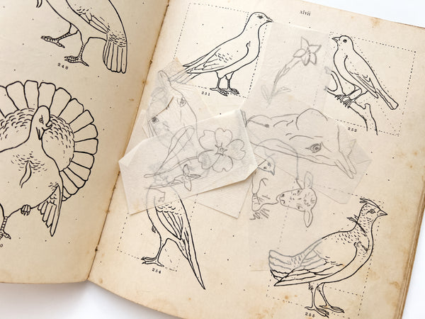 Illustrative Hand-Book of Drawing, containing over three hundred illustrations including dictation exercises, outlines of familiar objects—vegetables, fruits, flowers, and human and animal forms