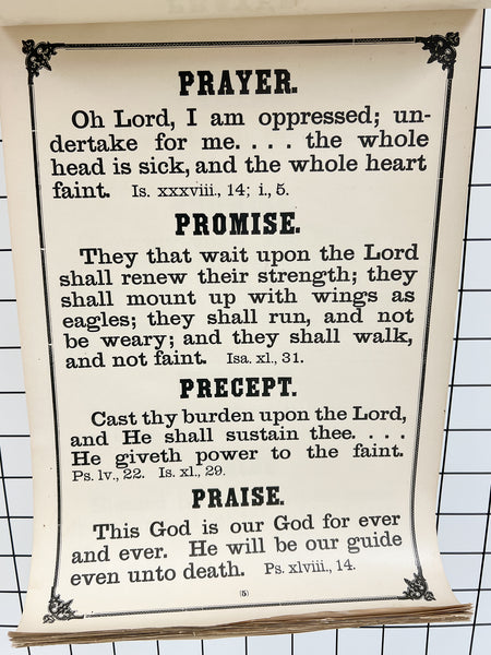 Daily Comfort in Four Fold Links. Prayer, Promise, Precept, and Praise.