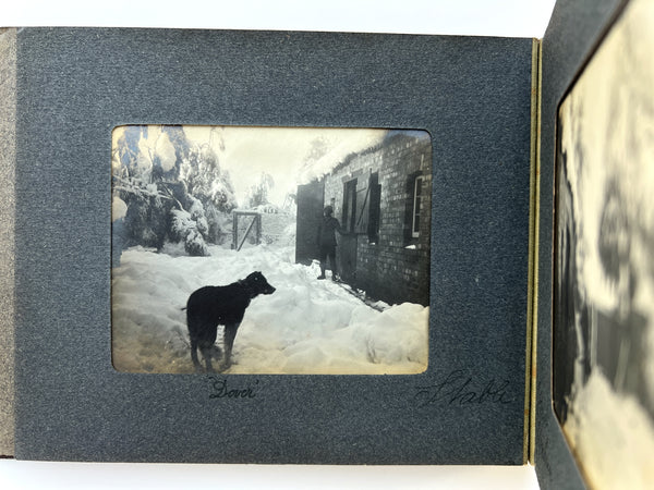 "Johannesburg's Record Snowstorm. 11.0 P.M. Augt 16th 1909 to 9.0 P.M. Augt 17th 1909. Umbona" (caption title)