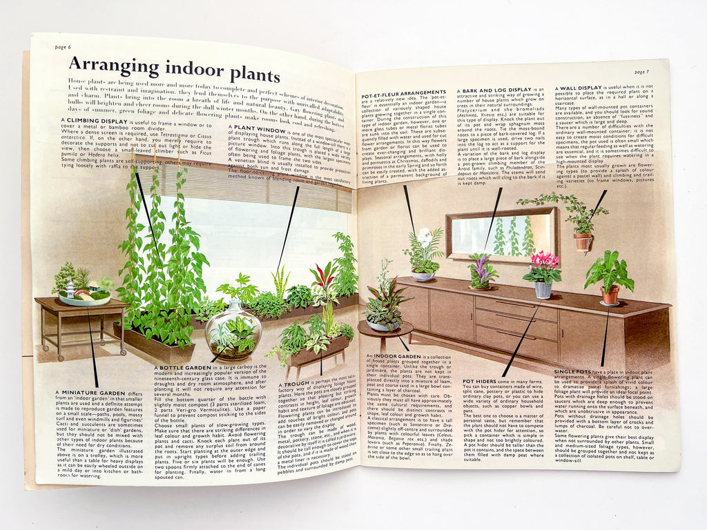the house plant expert Be Your Own House Plant Expert – Haec City / Also Books