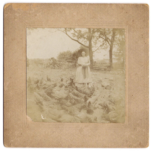 Two cabinet photographs of domestic scenes with farm animals