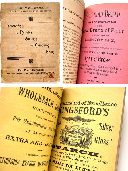 Scientific and Reliable Coloring and Cleansing Book.