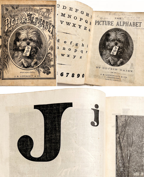 The Indestructible Picture Alphabet