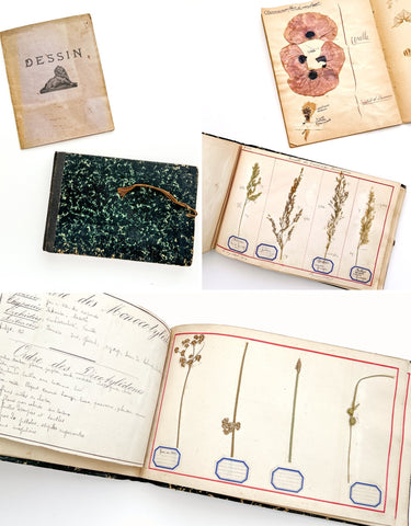 Cahier de Botanique [album + notebook of specimens, 1901]