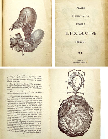 Plates Illustrating the Female Reproductive Organs