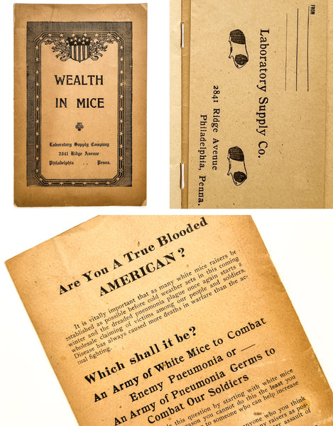 Wealth in Mice: An appeal for a more extensive propagation of white mice