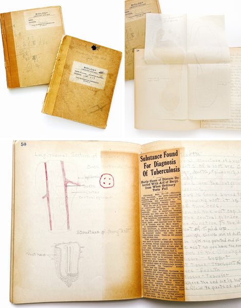 Young woman's c.1936 college biology notebooks with unusually broad scope, including lessons in Eugenics, Patent Medicine, Epidemics, Anatomy, Zoology, Nutrition, &c.