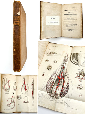 Anatomisch-physiologische Untersuchungen vorzüglich über das Schlagadersystem der Vögel