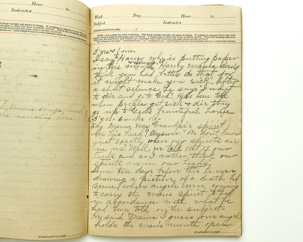 Teacher's Institute Notebook 1886 / Iowa woman's record of eerie exchanges with her young son