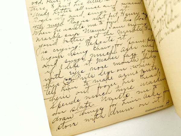 Teacher's Institute Notebook 1886 / Iowa woman's record of eerie exchanges with her young son