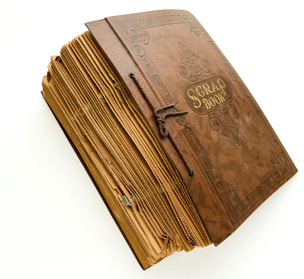 “Biology Bud Collection” typescript twig specimen album