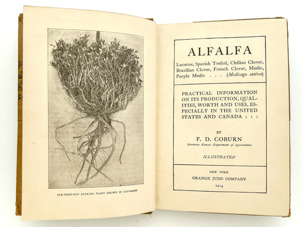 Alfalfa (in Van Everen "Fitsanybook" Adjustable Book Cover)