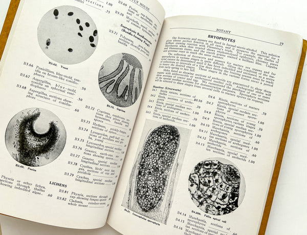 1926-1927 Catalog of Turtox Microscope Slides