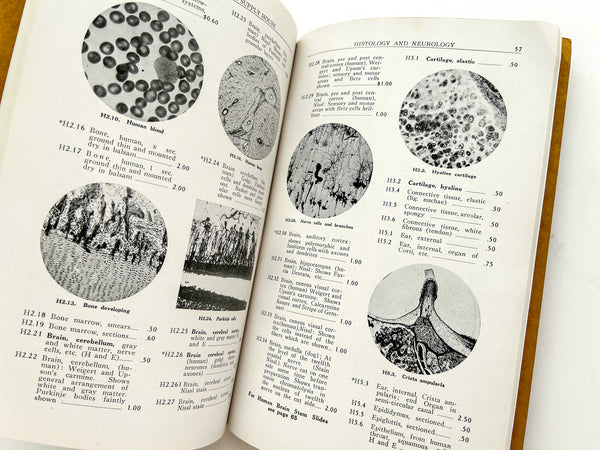 1926-1927 Catalog of Turtox Microscope Slides