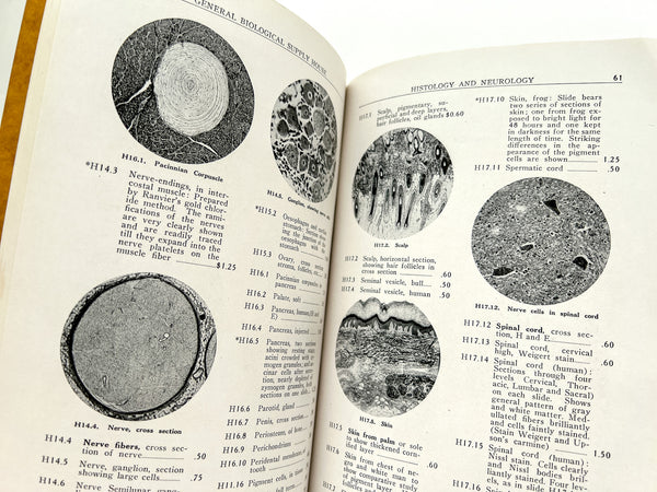 1926-1927 Catalog of Turtox Microscope Slides