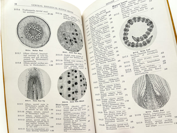 1926-1927 Catalog of Turtox Microscope Slides