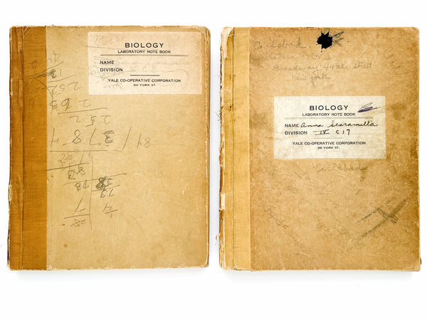 Young woman's c.1936 college biology notebooks with unusually broad scope, including lessons in Eugenics, Patent Medicine, Epidemics, Anatomy, Zoology, Nutrition, &c.