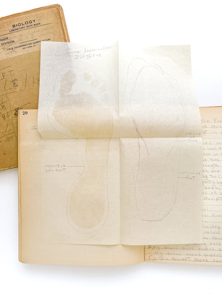 Young woman's c.1936 college biology notebooks with unusually broad scope, including lessons in Eugenics, Patent Medicine, Epidemics, Anatomy, Zoology, Nutrition, &c.