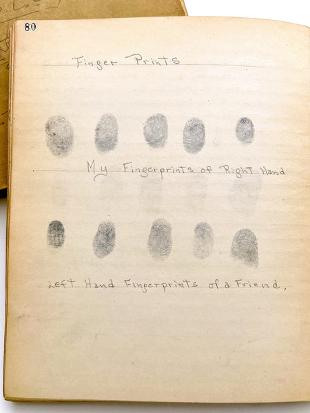 Young woman's c.1936 college biology notebooks with unusually broad scope, including lessons in Eugenics, Patent Medicine, Epidemics, Anatomy, Zoology, Nutrition, &c.