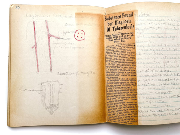 Young woman's c.1936 college biology notebooks with unusually broad scope, including lessons in Eugenics, Patent Medicine, Epidemics, Anatomy, Zoology, Nutrition, &c.
