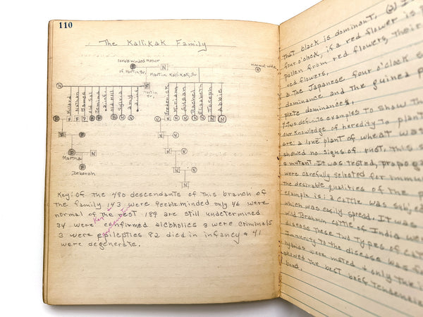 Young woman's c.1936 college biology notebooks with unusually broad scope, including lessons in Eugenics, Patent Medicine, Epidemics, Anatomy, Zoology, Nutrition, &c.