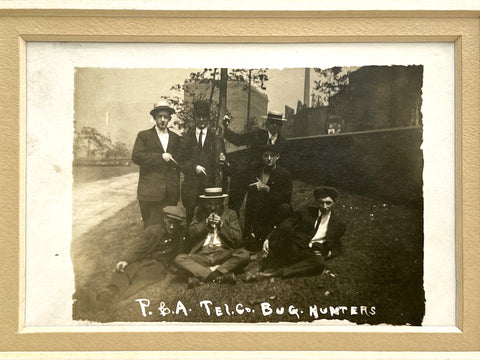 Photograph of seven young men, "P. & A .Tel. Co. Bug Hunters" (RPPC)