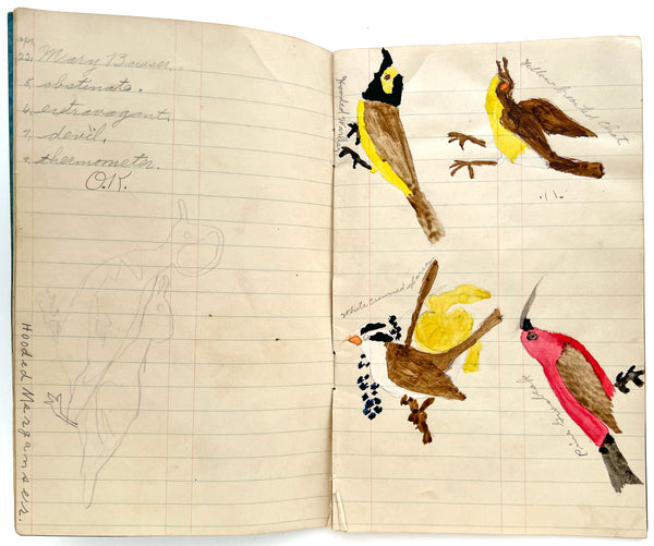 Standard Spelling Blanks - with 3 pages of color ornithological sketches