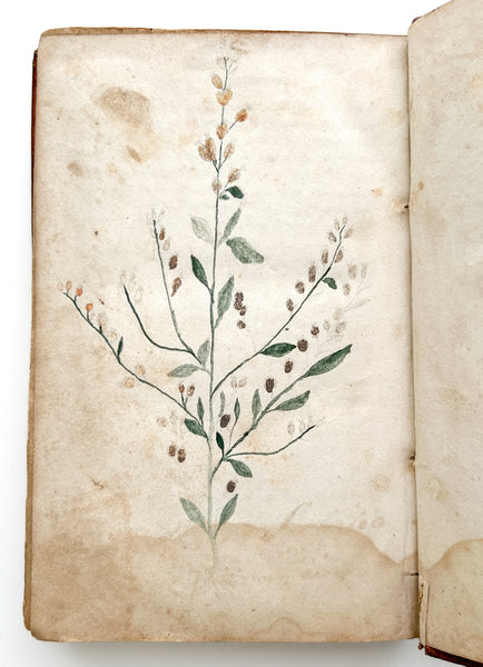Youth's Book of Natural Philosophy