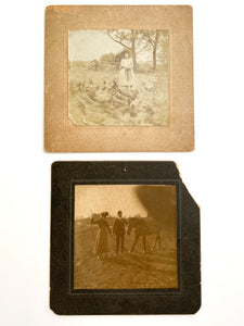 Two cabinet photographs of domestic scenes with farm animals