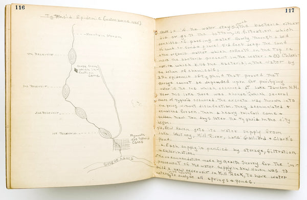 Young woman's c.1936 college biology notebooks with unusually broad scope, including lessons in Eugenics, Patent Medicine, Epidemics, Anatomy, Zoology, Nutrition, &c.