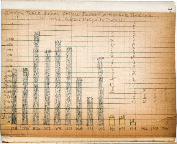 Young woman's c.1936 college biology notebooks with unusually broad scope, including lessons in Eugenics, Patent Medicine, Epidemics, Anatomy, Zoology, Nutrition, &c.