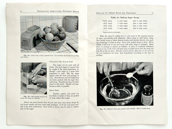 Freeze Fruits and Vegetables (Circular 317)