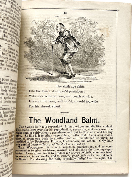 Shakespeare's Seven Ages of Man's Life (Brown's Almanac 1869)
