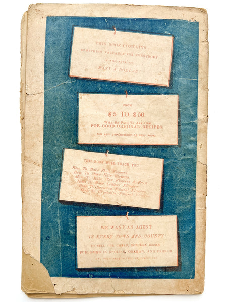 Alexander's Family Friend