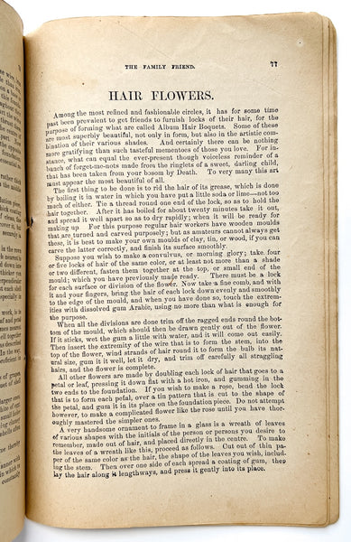 Alexander's Family Friend