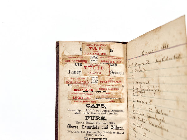 Daniel Hoffman & Co. Autumn of 1869. [pocket memo book]