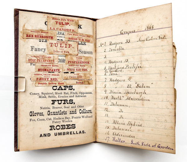 Daniel Hoffman & Co. Autumn of 1869. [pocket memo book]