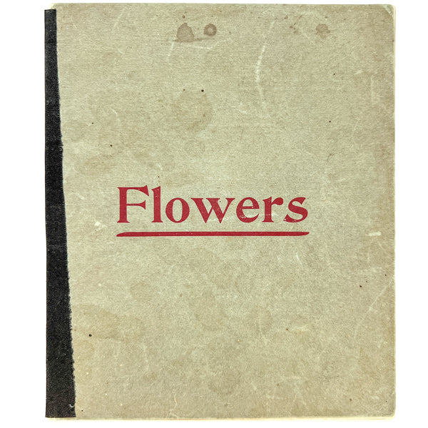 Flowers: Practical Hints on the Care of House and Outdoor Plants