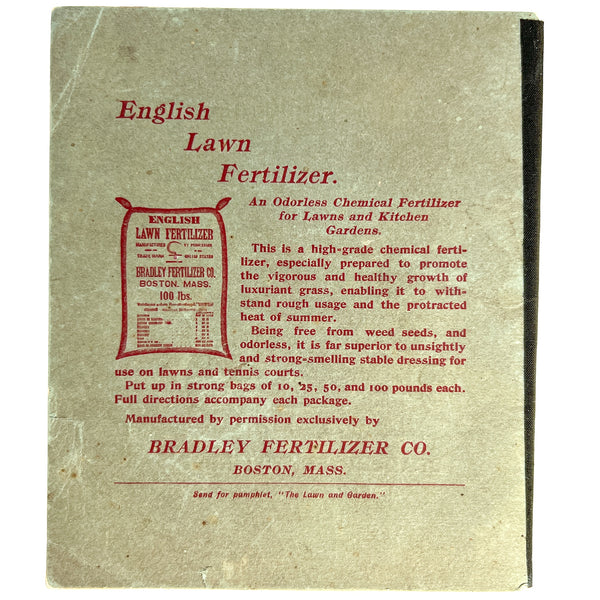 Flowers: Practical Hints on the Care of House and Outdoor Plants