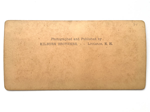 "3405. Hosiery Knitting Factory" Kilburn Bros. stereoview