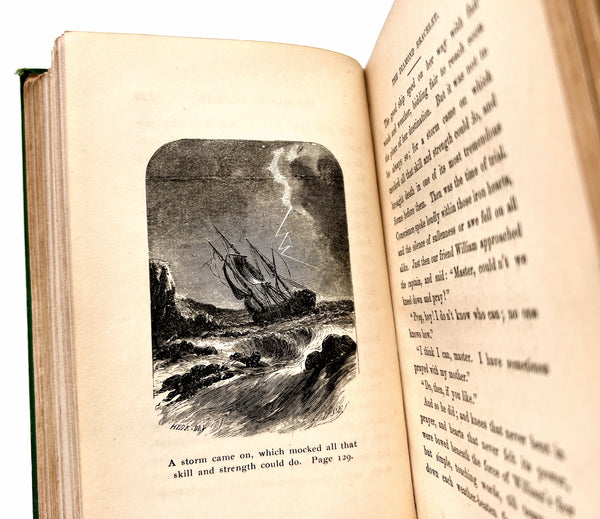 Bernie's White Chicken (The Pansy Series)