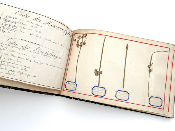 Cahier de Botanique [album + notebook of specimens, 1901]