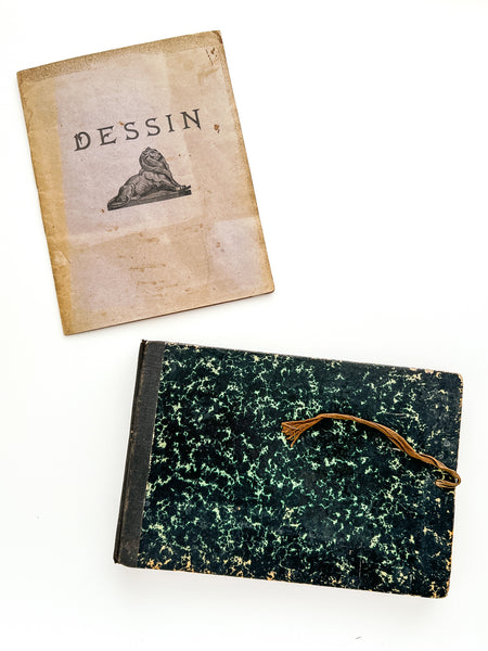 Cahier de Botanique [album + notebook of specimens, 1901]